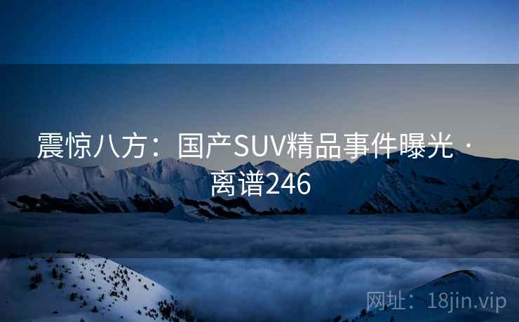 震惊八方：国产SUV精品事件曝光 · 离谱246