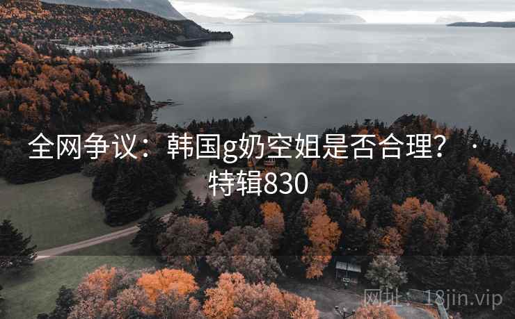 全网争议：韩国g奶空姐是否合理？ · 特辑830