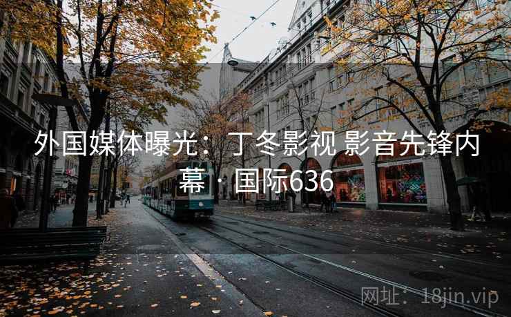 外国媒体曝光：丁冬影视 影音先锋内幕 · 国际636